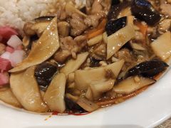 双菇肉片饭-阳阳中国饭(北京荟聚店)