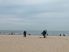 -日照海滨国家森林公园