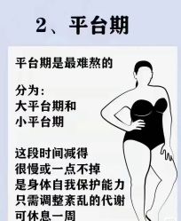 -香薇妮丝·定制减肥·身材管理