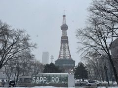 -大通公园