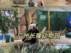 -广州长隆野生动物世界