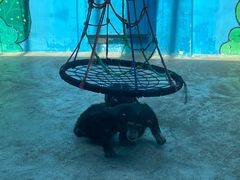 -北京野生动物园