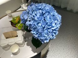 -康美贞·痘肌养护管理中心