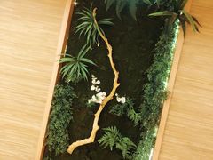 -望儿山温泉水乐园