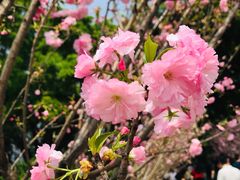 -观澜湖生态运动公社