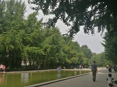 -玲珑塔公园