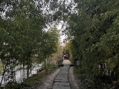 -西溪国家湿地公园