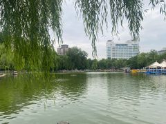 -莲湖公园