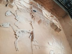 -洛阳周王城天子驾六博物馆