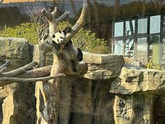-宁波野生动物园