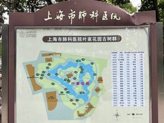 -叶家花园