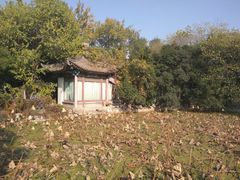 景点-莲湖公园
