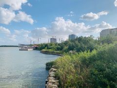 -南汇嘴观海公园