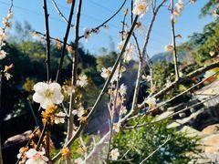 -广东天露山旅游度假区