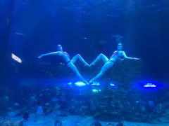 -华夏文旅海洋公园