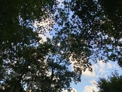 -灵顺寺