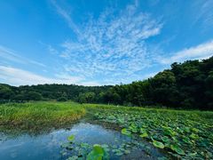 -东钱湖旅游度假区