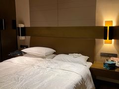 -扬州绿地铂骊酒店