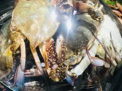 -77号渔船·蒸海鲜青岛菜(积米崖店)