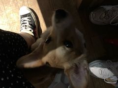 -M-3 PUB(创智天地店)