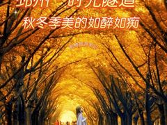 -艾山风景名胜区