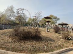 -石家庄市动物园