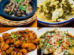 -全乐鱼馆·淳牌有机鱼直营店