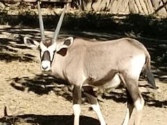 -北京动物园-畅观楼