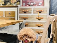 -可可露咖啡店(大东店)