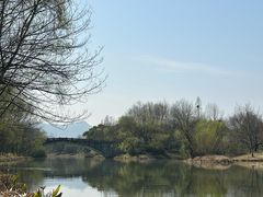 -西溪国家湿地公园