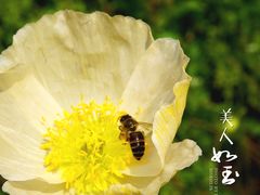 -五通灯塔公园
