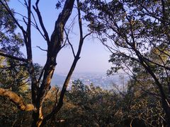 -桃花岭景区