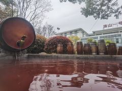 -汤山一号温泉度假区