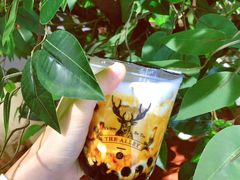 -九寸钉自助·炭火烤肉烧烤(欧乐时尚广场店)