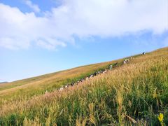 -萍乡武功山风景名胜区