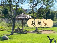 -泉州海丝野生动物世界