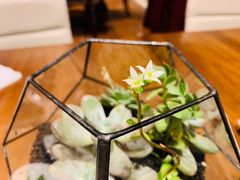 -嘉年华大酒店琴湾-自助餐厅