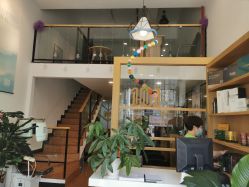 -章光101养发生发防脱发