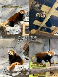 -Zoolung Zoolung动物主题公园(海信广场店)
