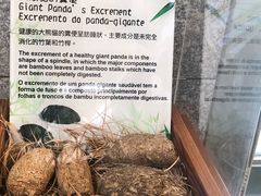 -石排湾郊野公园