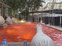 -春晖园度假酒店温泉