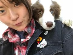 -芭比堂动物医院·犬猫全科·异宠专科(雁塔分院)