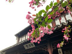 -千灯古镇