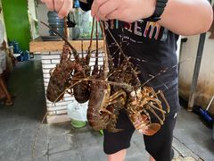 -竹林小屋(库塔店)