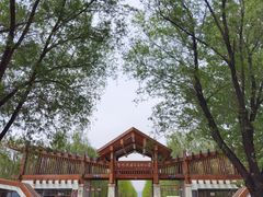 -野鸭湖国家湿地公园