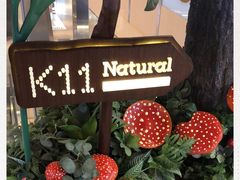 -K11 Design Store