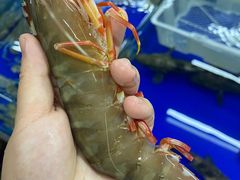 牡丹虾-拉威海鲜市场