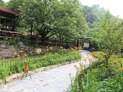 -北京水岸山吧度假村(雁栖镇店)