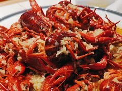 -杨氏青龙虾·羊蝎子(托乐嘉店)