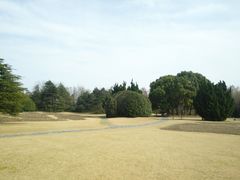 -上海滨江森林公园